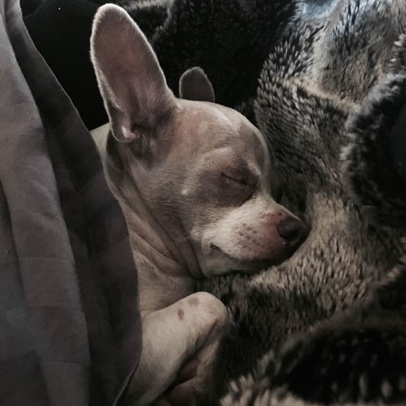 Meet your Posher, David - Picture 1 of 1